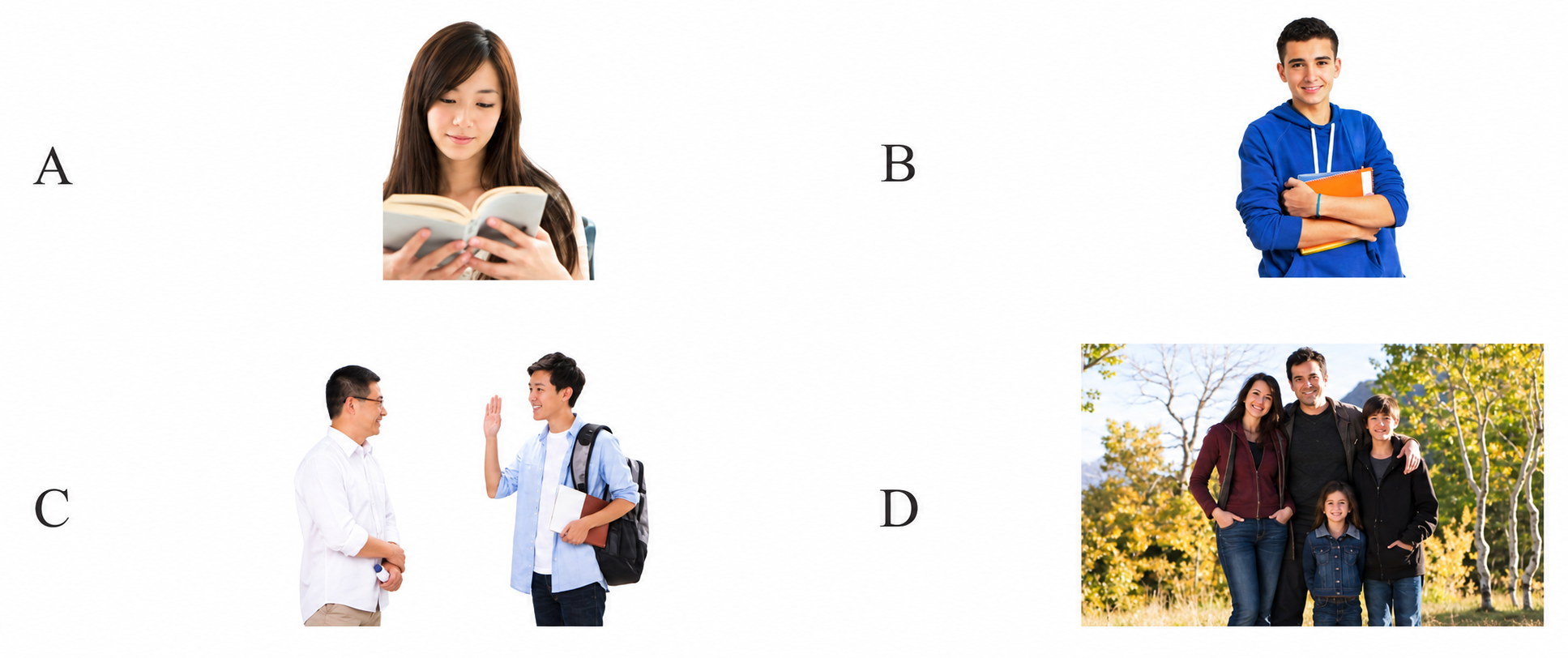Các hình A đến D cho câu 11-13